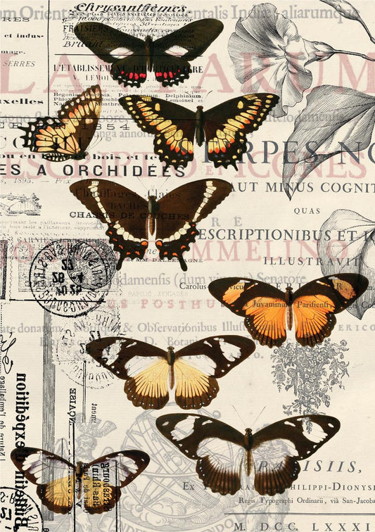 Vintage Butterflies- Tissue Decoupage Paper