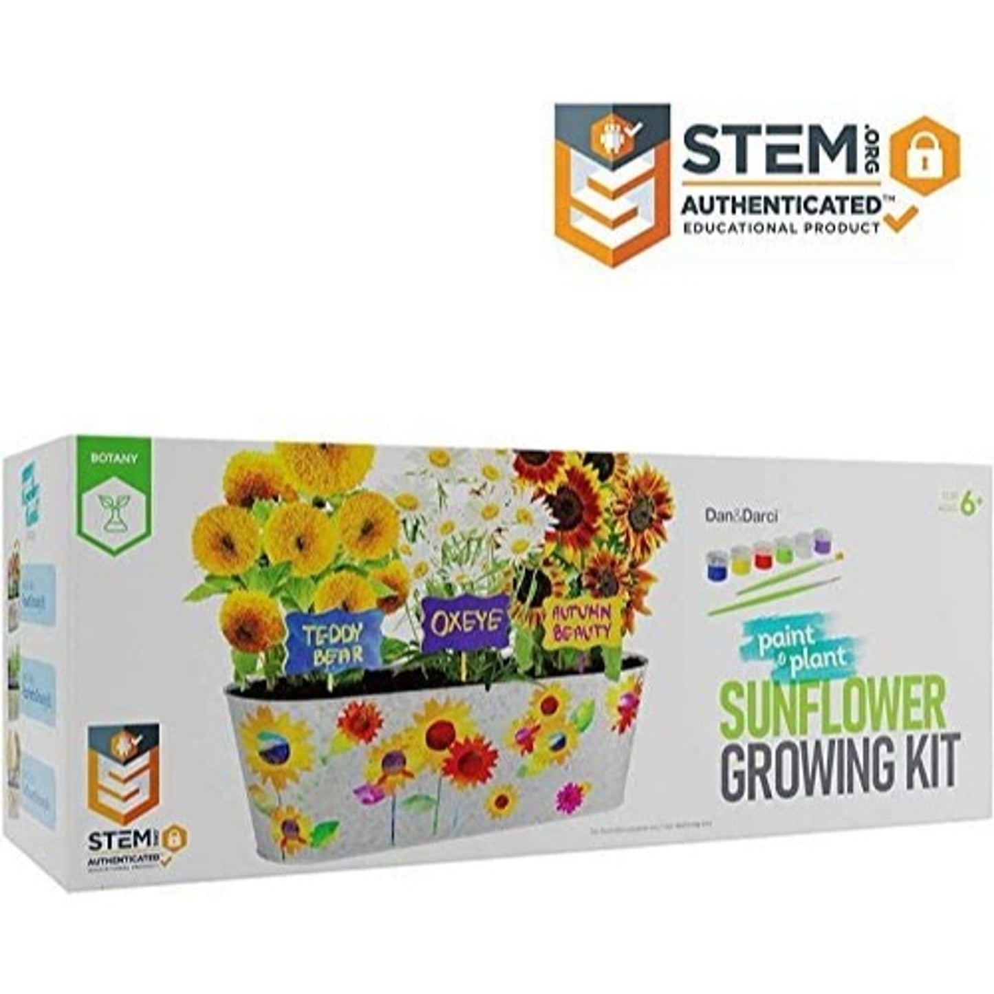 Paint & Plant Sunflower Growing Kit